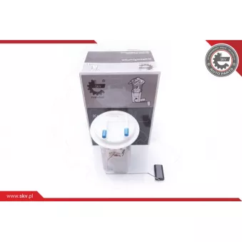 Unité d'injection de carburant ESEN SKV 02SKV750