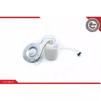 Unité d'injection de carburant ESEN SKV 02SKV752
