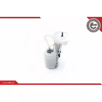 Unité d'injection de carburant ESEN SKV 02SKV753