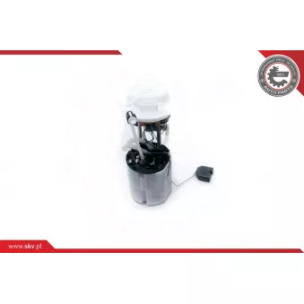 Unité d'injection de carburant ESEN SKV 02SKV754
