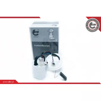 Unité d'injection de carburant ESEN SKV 02SKV764