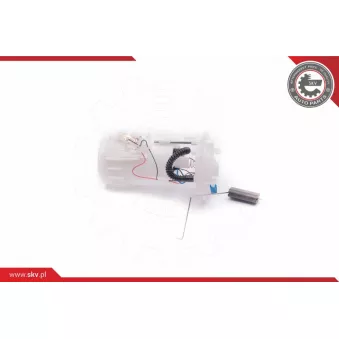 Unité d'injection de carburant ESEN SKV 02SKV765