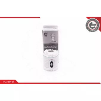 Unité d'injection de carburant ESEN SKV 02SKV773