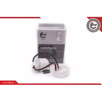 Unité d'injection de carburant ESEN SKV 02SKV776