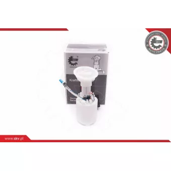 Unité d'injection de carburant ESEN SKV 02SKV778