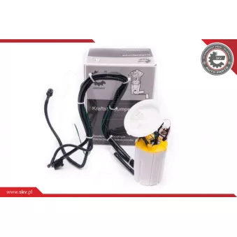 Unité d'injection de carburant ESEN SKV 02SKV779