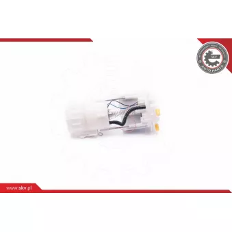 Unité d'injection de carburant ESEN SKV 02SKV780