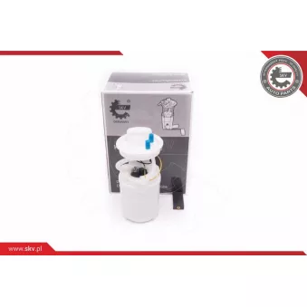 Unité d'injection de carburant ESEN SKV 02SKV781