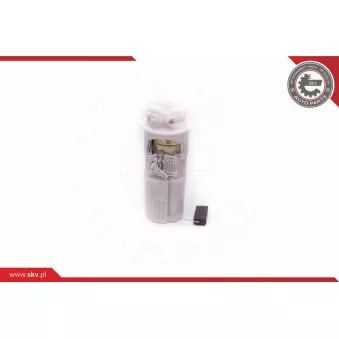 Unité d'injection de carburant ESEN SKV 02SKV788