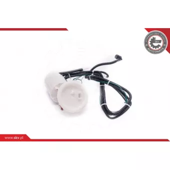 Unité d'injection de carburant ESEN SKV 02SKV789