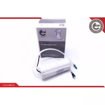 Unité d'injection de carburant ESEN SKV 02SKV791