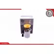 Unité d'injection de carburant ESEN SKV 02SKV793 - Visuel 1