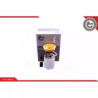 Unité d'injection de carburant ESEN SKV 02SKV793