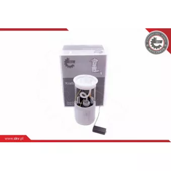 Unité d'injection de carburant ESEN SKV 02SKV794