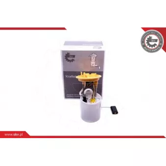Unité d'injection de carburant ESEN SKV 02SKV795