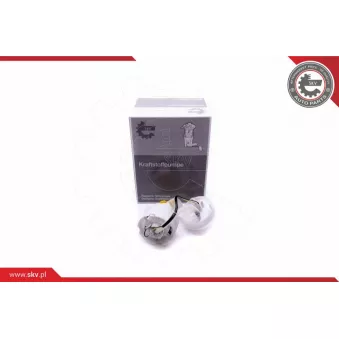 Unité d'injection de carburant ESEN SKV 02SKV796