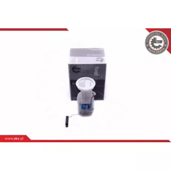 Unité d'injection de carburant ESEN SKV 02SKV797