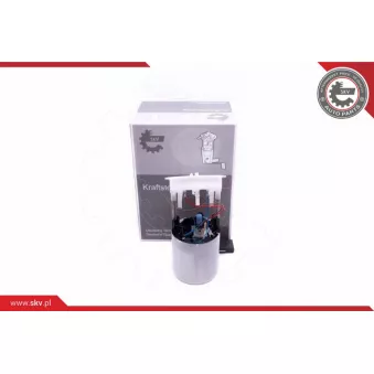 Unité d'injection de carburant ESEN SKV 02SKV799