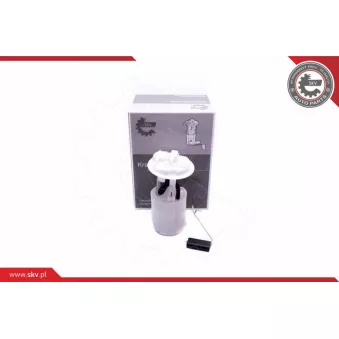 Unité d'injection de carburant ESEN SKV 02SKV801