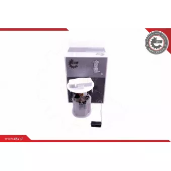 Unité d'injection de carburant ESEN SKV 02SKV802