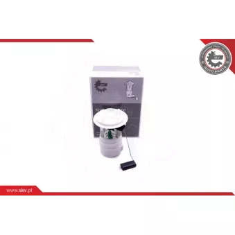 Unité d'injection de carburant ESEN SKV 02SKV803