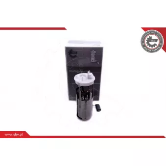 Unité d'injection de carburant ESEN SKV 02SKV805