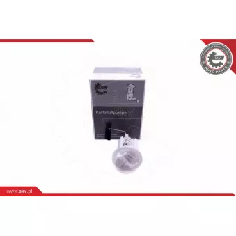 Unité d'injection de carburant ESEN SKV 02SKV808