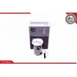 Unité d'injection de carburant ESEN SKV 02SKV810 - Visuel 1