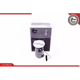 Unité d'injection de carburant ESEN SKV 02SKV810