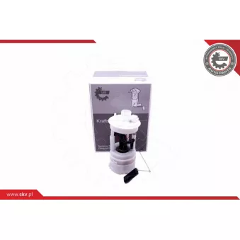Unité d'injection de carburant ESEN SKV 02SKV812