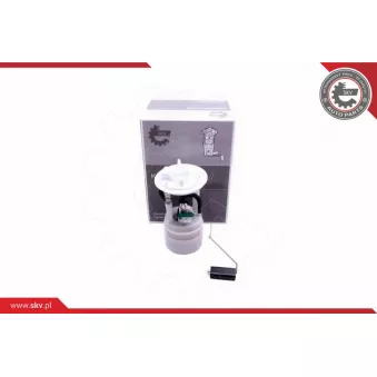 Unité d'injection de carburant ESEN SKV 02SKV815