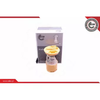 Unité d'injection de carburant ESEN SKV 02SKV816