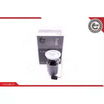 Unité d'injection de carburant ESEN SKV 02SKV817