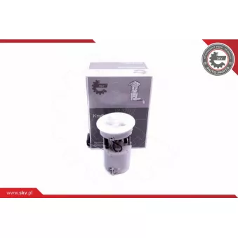 Unité d'injection de carburant ESEN SKV 02SKV819