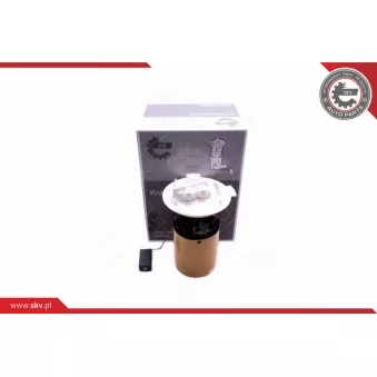 Unité d'injection de carburant ESEN SKV 02SKV821