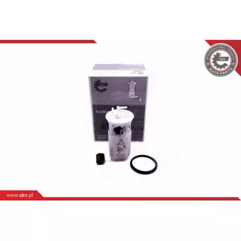 Unité d'injection de carburant ESEN SKV 02SKV823