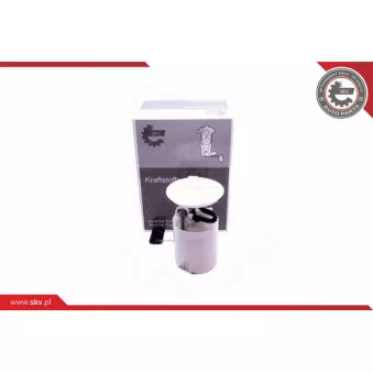 Unité d'injection de carburant ESEN SKV 02SKV824