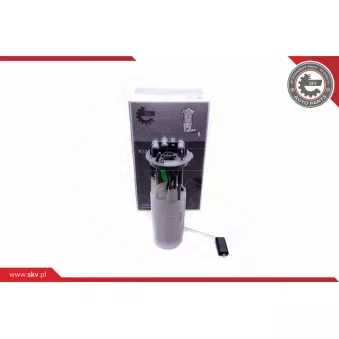 Unité d'injection de carburant ESEN SKV 02SKV825