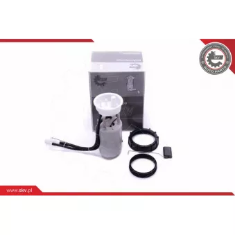 Unité d'injection de carburant ESEN SKV 02SKV831