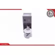 Unité d'injection de carburant ESEN SKV 02SKV832 - Visuel 1