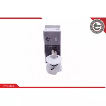 Unité d'injection de carburant ESEN SKV 02SKV832