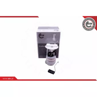 Unité d'injection de carburant ESEN SKV 02SKV833