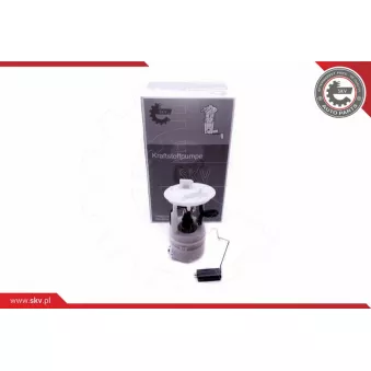 Unité d'injection de carburant ESEN SKV 02SKV837