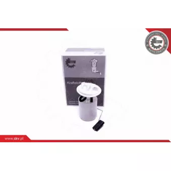 Unité d'injection de carburant ESEN SKV 02SKV840