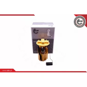 Unité d'injection de carburant ESEN SKV 02SKV841