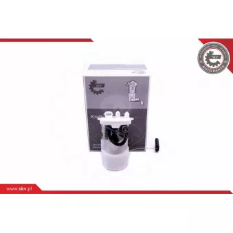 Unité d'injection de carburant ESEN SKV 02SKV843