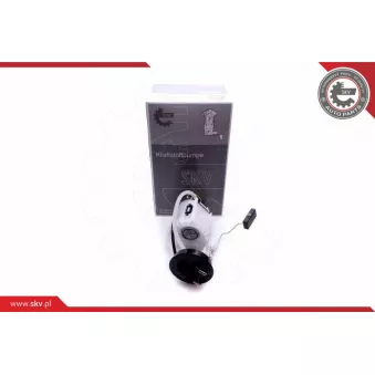 Unité d'injection de carburant ESEN SKV 02SKV844