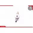 Pompe à haute pression ESEN SKV 02SKV958 - Visuel 2