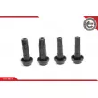 Bobine d'allumage ESEN SKV 03SKV020 - Visuel 1