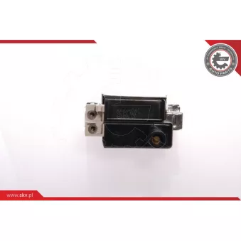 Bobine d'allumage ESEN SKV 03SKV037